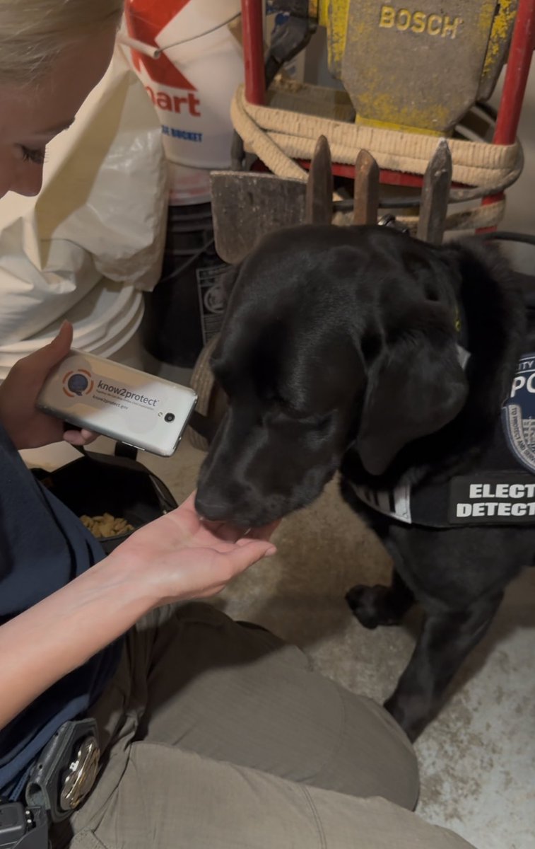 No device escapes Dottie’s detection! 🦴 Electronic Storage Detection K9s from Our Rescue find criminals’ hidden technology that investigators can use as evidence in online exploitation cases. Prevention is the best outcome. Learn more about #OnlineSafety at: #K2P