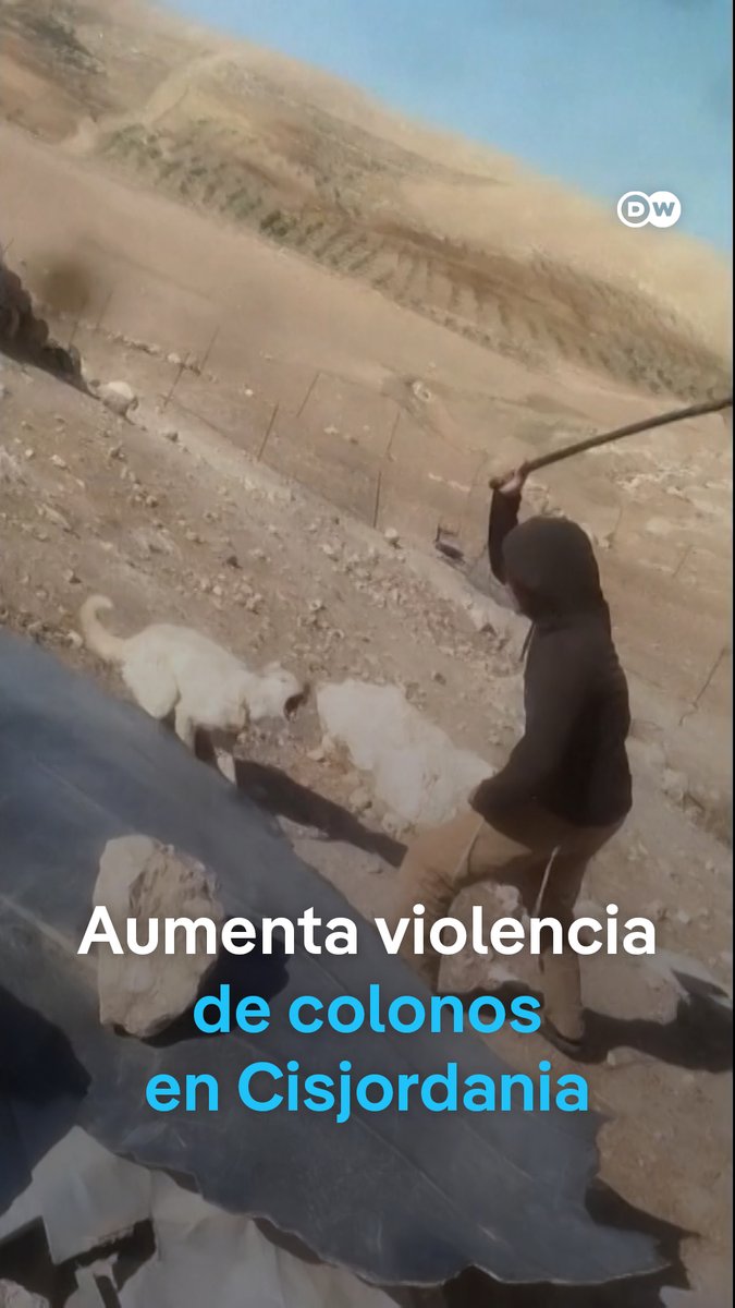 Video muestra agresión de un colono israelí contra una familia palestina Naciones Unidas denuncia un aumento de la violencia de colonos en Cisjordania ocupada. Según la Oficina para la Coordinación de Asuntos Humanitarios (OCHA), al menos 1.697 palestinos han sido desplazados durante los primeros tres meses de 2026.