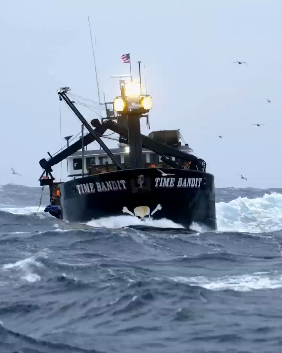 In the upper latitudes of the Golden King Crab Grounds, aboard the Time Bandit, Captain John's got broken freezer bait problems. 🤮🤢🎣🏴☠️ With a couple million bucks at stake, he and the crew race to find a solution to replenish their bait and 3-week food supply. Watch an all new #DeadliestCatch tonight 8P ET.