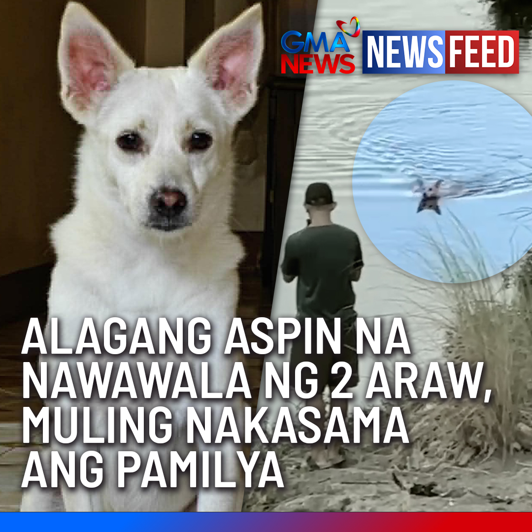 COCO RETURNS! 🥹 Dalawang araw matapos mawala, muling nakita ng pamilya ang kanilang alagang aspin na si Coco na palangoy-langoy sa ilog malapit sa kanilang lugar. Naging emosyonal ang kanilang muling pagkikita nang tawagin ng amo ang pangalan nito na agad lumangoy papunta sa kanila. Ang nakakaiyak na reunion ng aspin at kaniyang pamilya, panoorin sa video na ito.