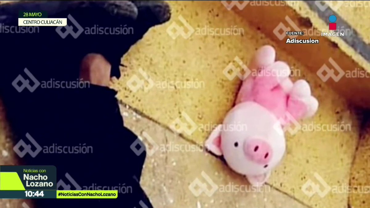 ¿Quién esta dejando cerditos rosas de peluche en escenas del crimen en #Sinaloa? Van al menos 4 asesinatos con el mismo sello. Y es que el año pasado, la influencer Valeria Márquez fue asesinada en su salón de belleza en Zapopan, Jalisco, con un peluche de cerdito rosa.