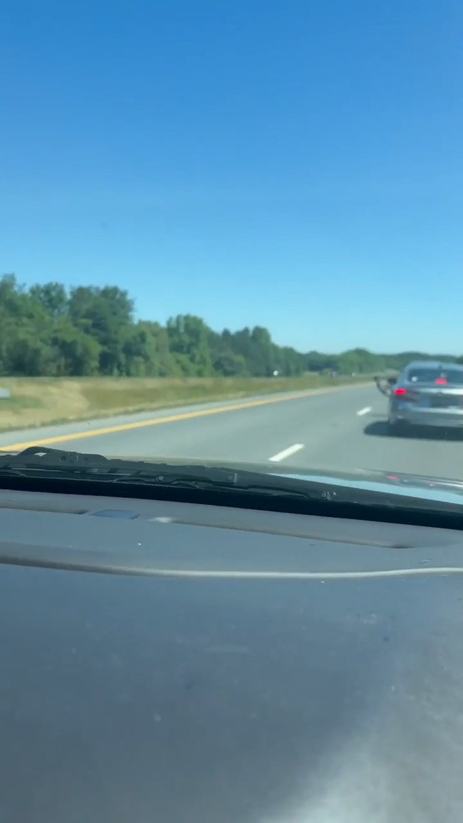 EMU ON THE LOOSE! We got a video that we wanted to share because of the great commentary.