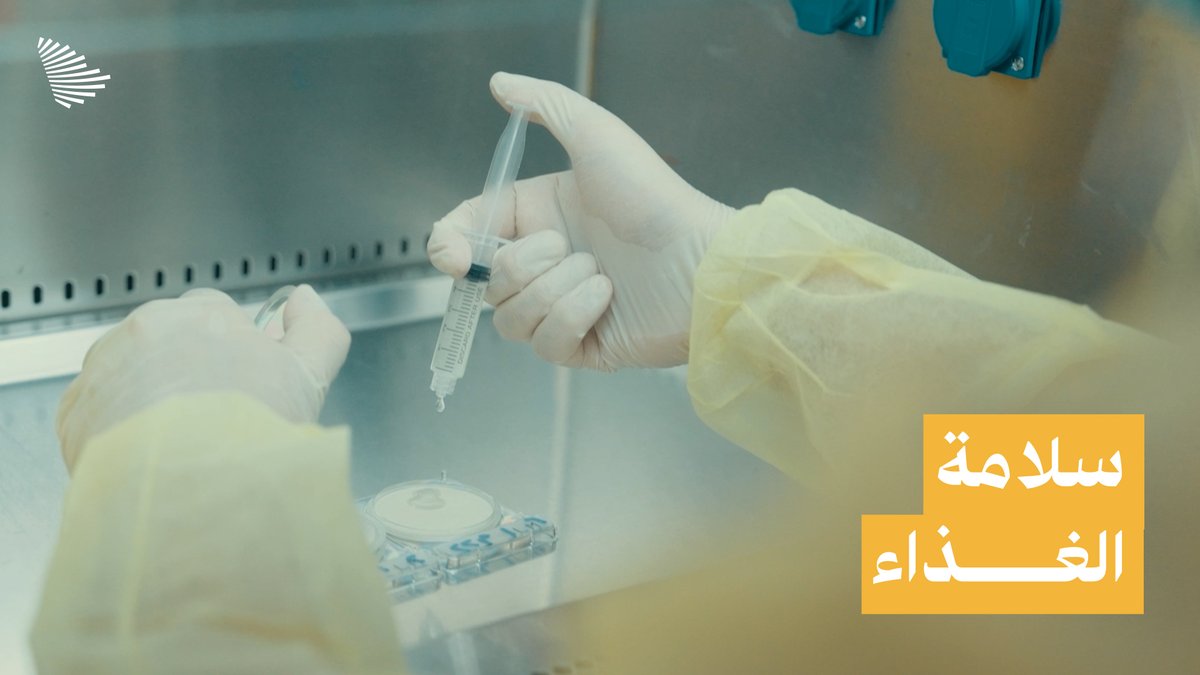 كيف تُقدم وجبة صحية وآمنة لضيوف الرحمن؟