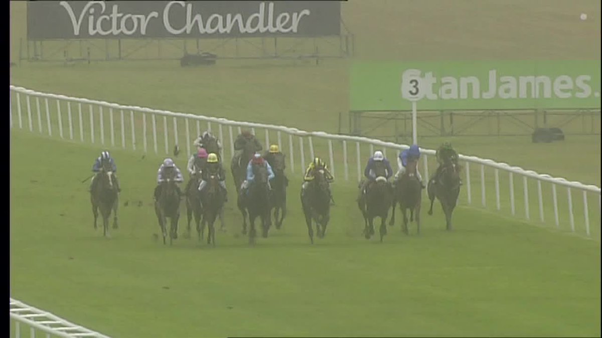 Frankel made his debut in a maiden at Newmarket where he got the better of Nathaniel and who would have known it would he the start of an incredible career for Sir Henry Cecil's superstar! The GOAT 🐐
