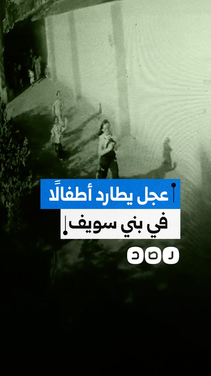 أضحية تطارد الأطفال أثناء الـ ـذبــ ـح بمركز ببا في بني سويف