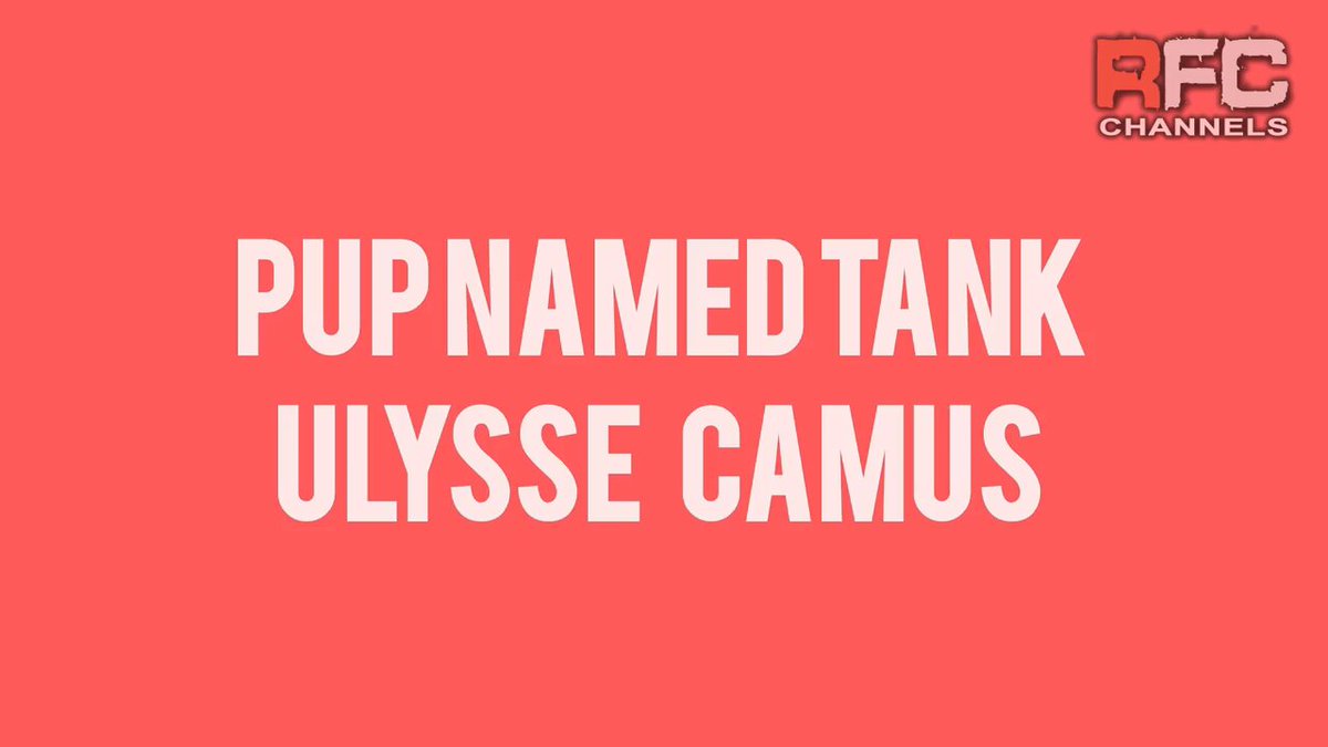 XXL Dom Part II #PupNamedTank #PupNamedTank #UlysseCamus