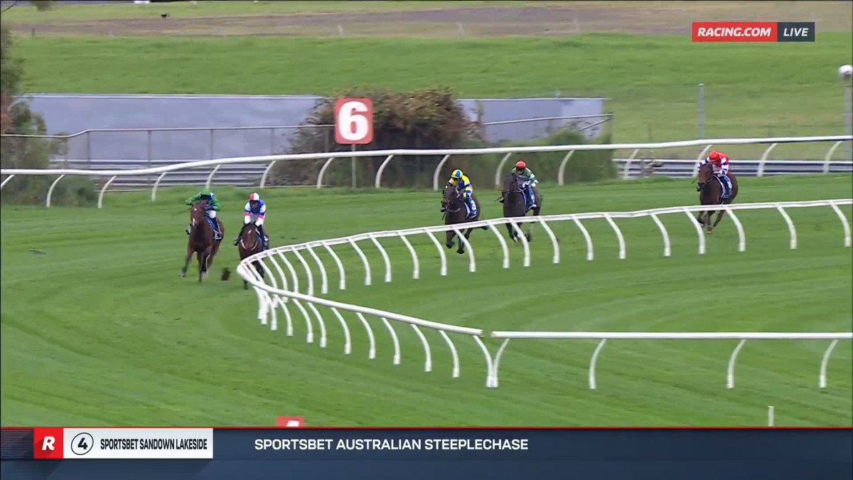 Australian Steeplechase | Sing For Peace Not bad for a steeplechase debut! Sing For Peace fends off Stern Idol and bolts in! 👑 Tom Ryan 📺 Ch. 78/68, Foxtel 529, Kayo or via our app REPLAYS: