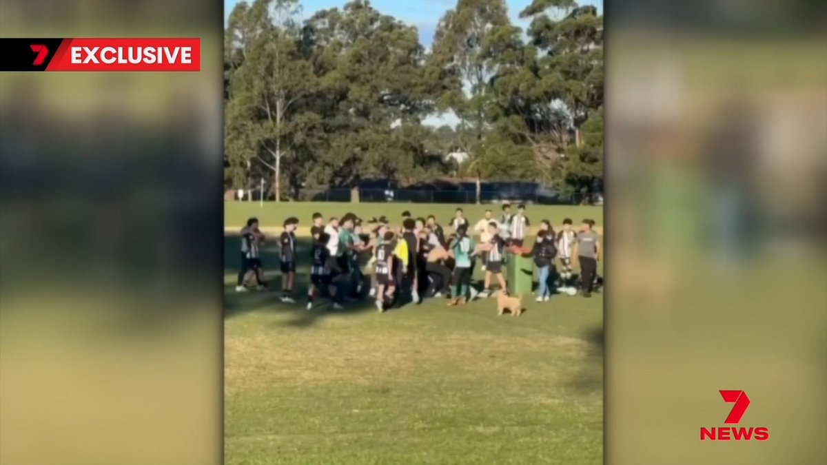 An all-in brawl at a teenage soccer game in Sydney's South West has ended with an 18-year-old man bitten and a 47-year-old man arrested.