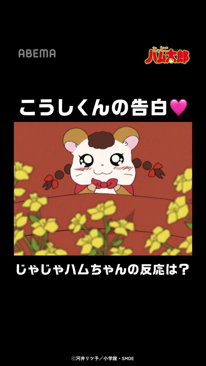 こうしくんの告白🩷 じゃじゃハムちゃんの反応は？ 「とっとこハム太郎」はアベマで配信中！ 視聴はこちら▶︎ #とっとこハム太郎 「とっとこハム太郎」公式サイト運営