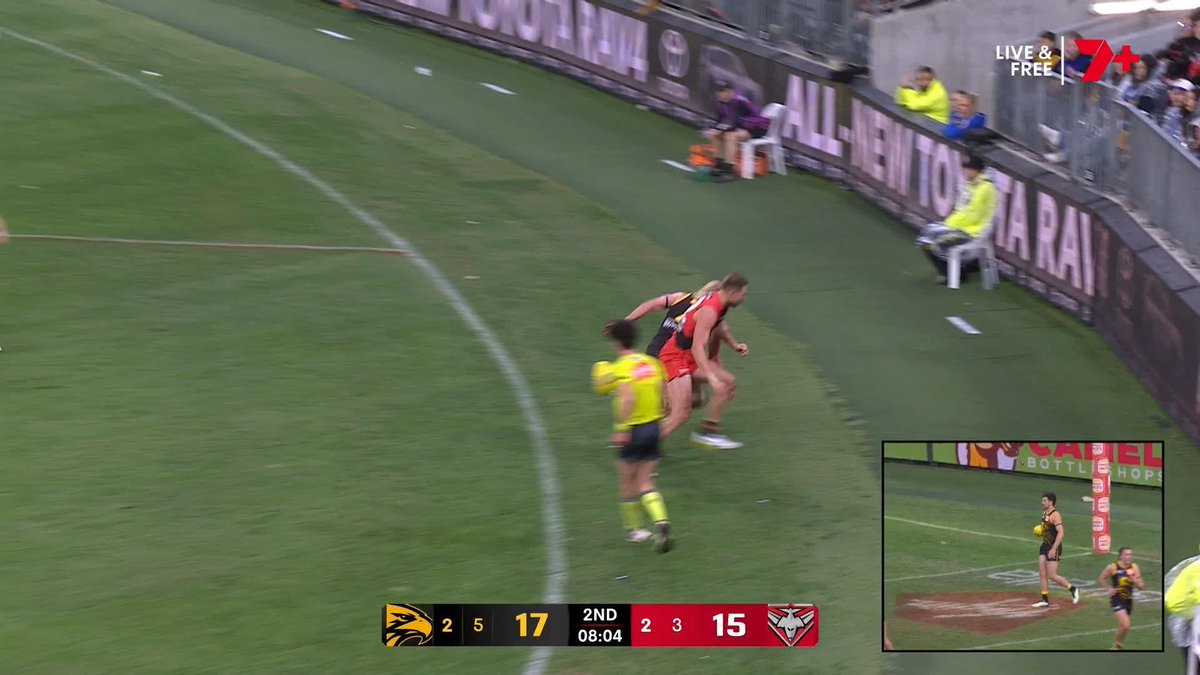 "The boundary umpire was a metre outside the field of play when it hit his chest!" #AFLEaglesDons