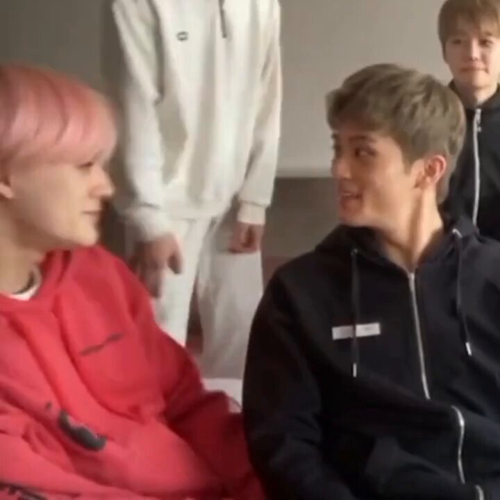 If only if only jeno’s number 1 samoyed enthusiast was here he would have squished him lovingly and made everyone at least try to eat it