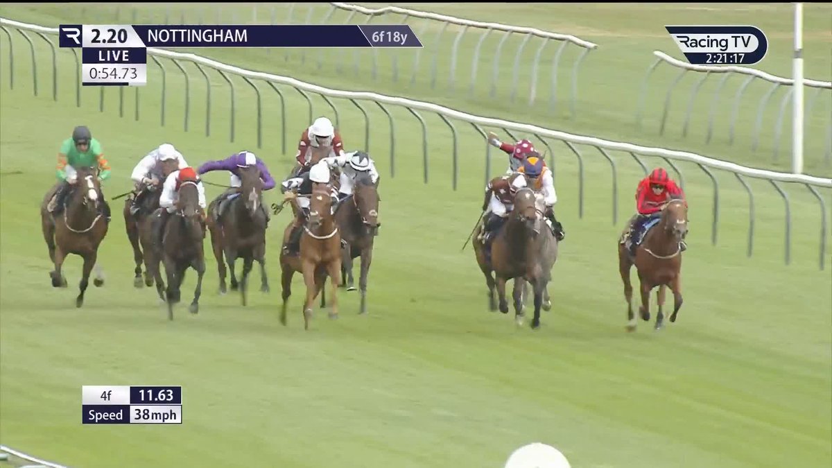 Bated Benevolence - a second 2yo winner of the campaign for Marco Botti Racing ⚪️🔴