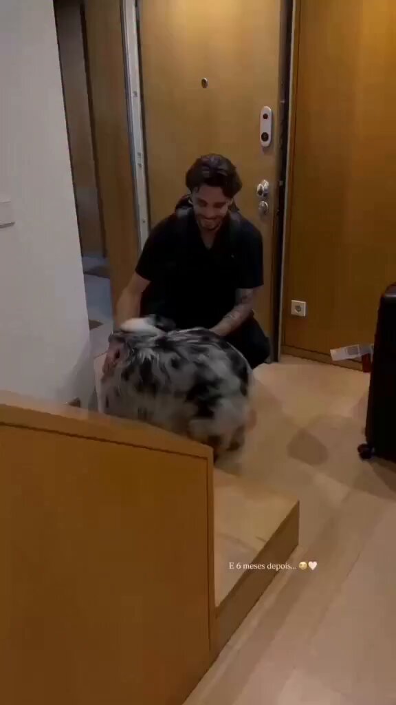 𝐆𝐎𝐎𝐃 𝐍𝐄𝐖𝐒: Nuno Santos has officially touched down in Portugal. 🇵🇹 ​He was welcomed by his pet to celebrate his CAF Champions League medal a beautiful moment of return from Africa. 🏆✈️