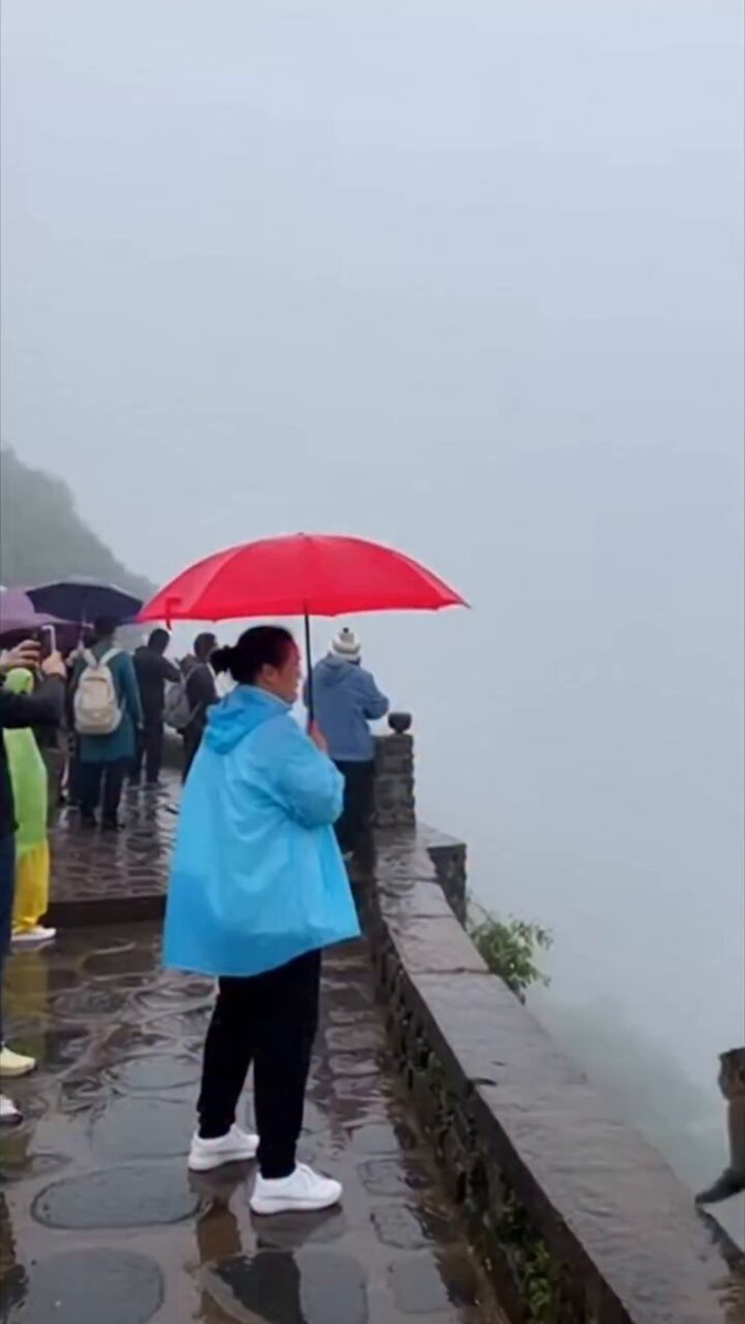 🚨🐵 INSOLITE Un singe a volé le parapluie d’une touriste avant de s’envoler avec en sautant dans le vide