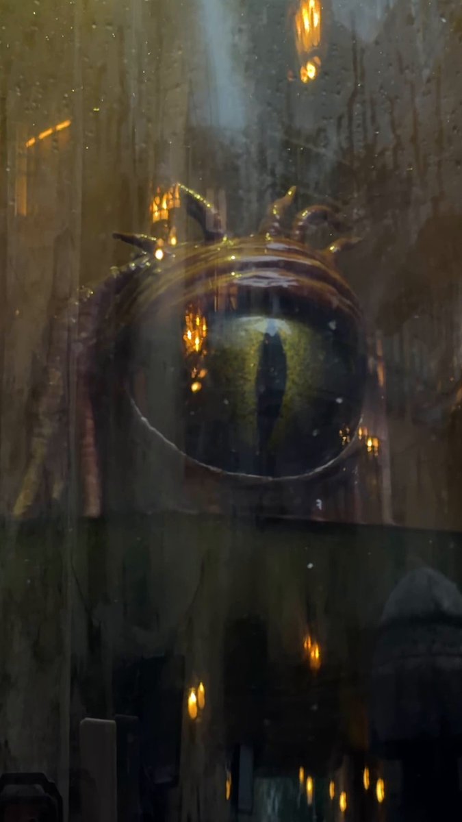 Mando has seen too much to be fazed 👋 See Star Wars: The Mandalorian and Grogu in theaters and IMAX now! 🎬