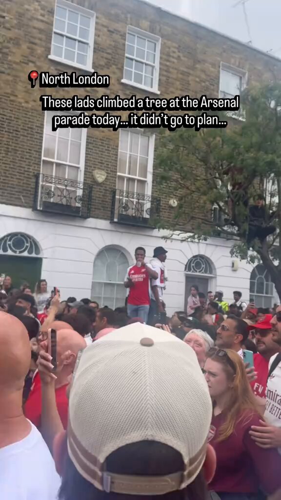 These Arsenal fans instantly regretted climbing this tree. Wait for it 😂😂😂