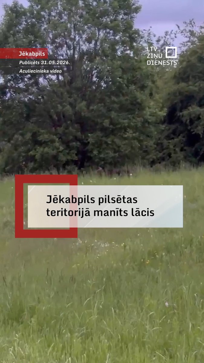 Jēkabpils pilsētas teritorijā fiksēts lācis, informē pašvaldība. Iedzīvotāji ir aicināti ievērot drošību un netuvoties savvaļas dzīvniekam, kā arī nemēģināt to fotografēt, filmēt vai pievilināt. Atbildīgie dienesti ir informēti un seko situācijai. Lācis, kas izskatās pēc jauna lāča, pilsētā manīts jau no rīta, LTV informēja Jēkabpils novada domes priekšsēdētājs Raivis Ragainis. Patlaban dienesti ir norobežojusi ielu uz meža teritoriju un cenšas palīdzēt lācim tikt ārā no pilsētas.