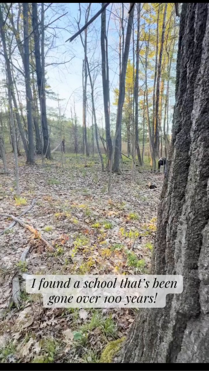 An old map leads him to the exact spot where an 1800s schoolhouse once stood — now it’s just open land… This guy goes metal detecting and uncovers a gold-plated bracelet, a 1860 suspender buckle with the original cloth still attached, a beautiful 1840s button, a rough but rare 1859 Indian Head penny (the very first year they were made), and a stunning 1842 Seated Liberty silver dime with the New Orleans “O” mint mark. I actually bought myself a metal detector a while back, but so far I’ve only used it in my own backyard. I really need to get out and start checking out some old Civil War sites. Have you ever been metal detecting or found something unexpected from the past?