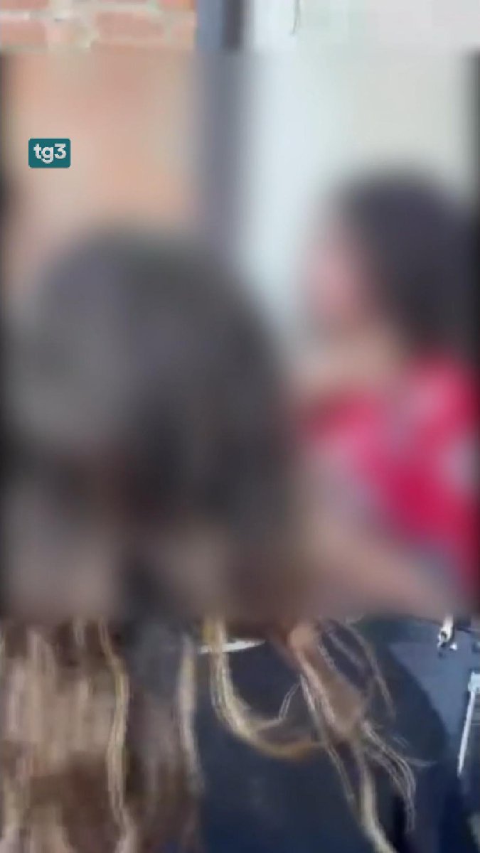 Una ragazzina, dodicenne, brutalmente aggredita da due coetanee in provincia di Reggio Emilia, con altri giovani a riprendere la scena. Fatto grave e desolante su cui è scattata la denuncia dei familiari. #tg3