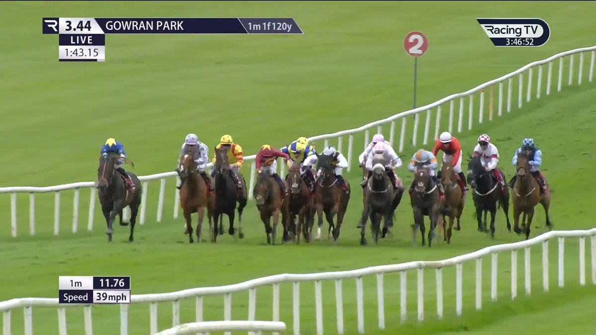 Prize for EXPORT 🟦🟨 Richard Hannon plunders the €200,000 Irish Stallion Farms Gowran Classic with Bunyola Bay, who had matters sewn up a long way out! 💶💶💶 | Sean Levey