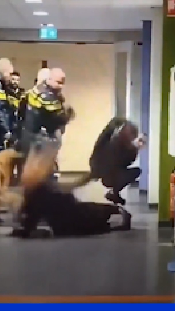 Pays-Bas: des policiers violentent une femme enceinte dans un centre de demandeurs d'asile