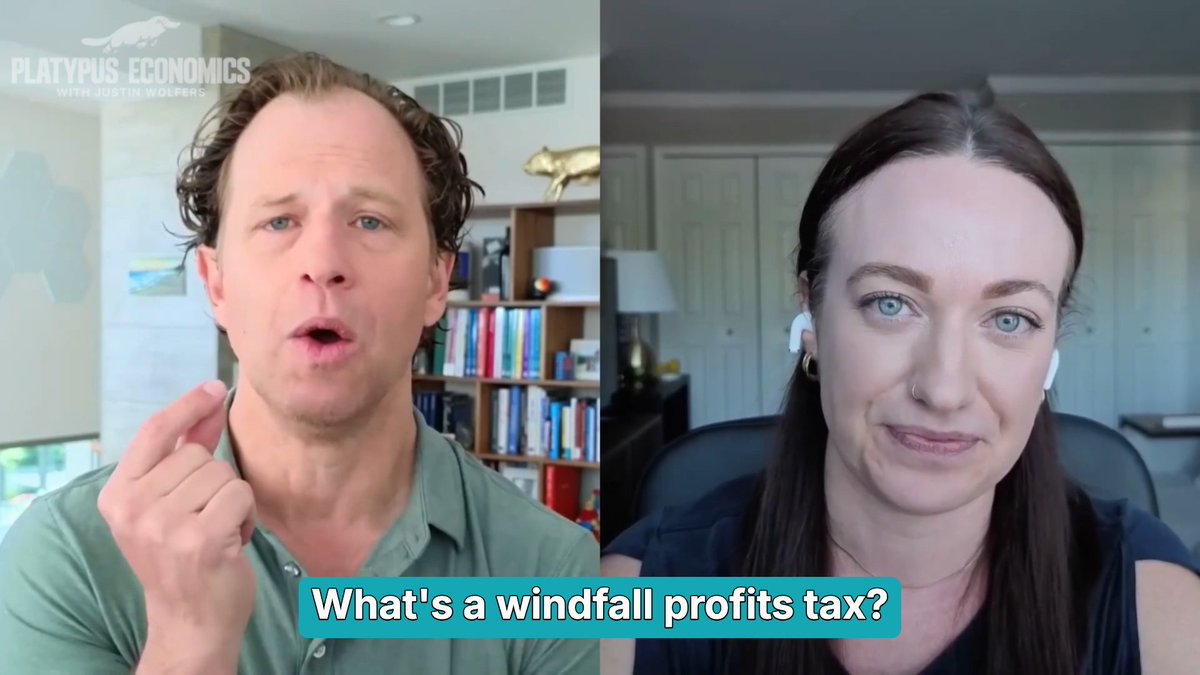 A windfall profits tax sounds great as a one-off. But once investors expect it to happen again, it's no longer a windfall tax—it's just a profits tax. And that can discourage the investment you actually want.