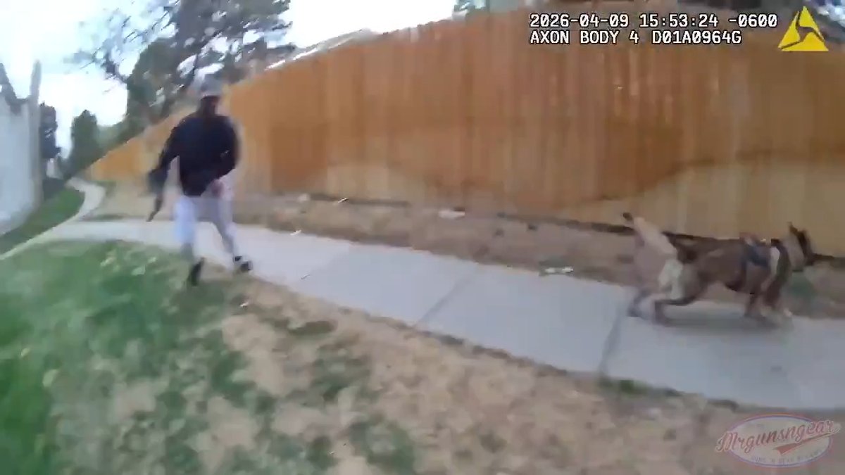Aurora, Colorado police & mental health professionals (seriously...) responded to an apartment complex where Amare Garlington (23) had threatened to harm people. After talking to Mr. Garlington through a window for approximately 30 mins, he exited his apartment with a knife. K9 Cyrus attempted to take him down but Mr. Garlington stabbed Cyrus then stabbed his handler. The handler then drew his Gen5 Glock 45 MOS wearing a Type 2 RMR and Surefire X300 (👌🏽) and performed an impromptu 9mm JHP ballistic test on Mr. Garlington's torso. The ballistic test was a success and Mr. Garlington died on the scene. More importantly, Cyrus was rushed to the vet for emergency surgery and is doing fine now 🐶 Avoid counting on mental health professionals when dealing with armed threats accordingly 🔪 #CityLife #knife #glock #police #crime #diversity #aurora #colorado #meltingpot #urban #cops #ballistics #surefire #trijicon #democrats
