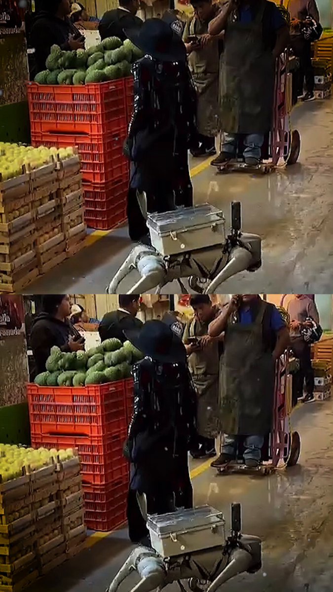 🤖¡Robots llegan a la Central de Abastos! Un humanoide y un can robótico se robaron las miradas de comerciantes y clientes
