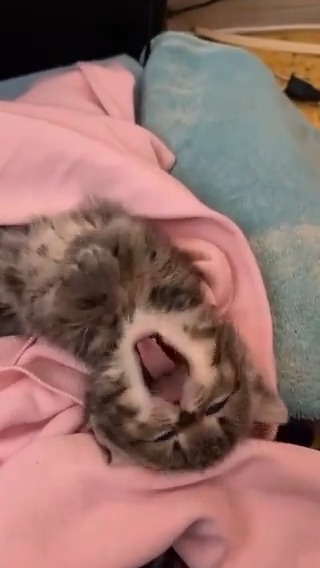 Pure joy ❤️