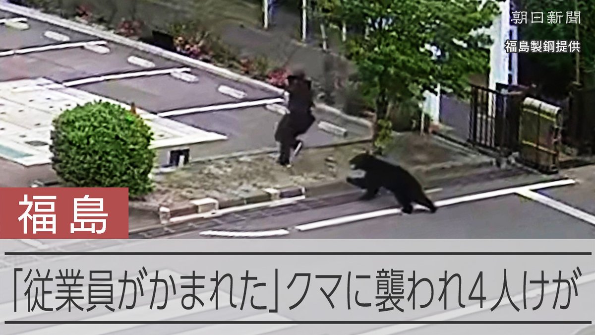 【動画】福島市内でクマに襲われ4人けが 住宅街周辺、近隣の学校は臨時休校 クマは20代と60代の男性従業員を襲ったあと、北側の住宅地に向かい、住人の80代女性に襲いかかった。