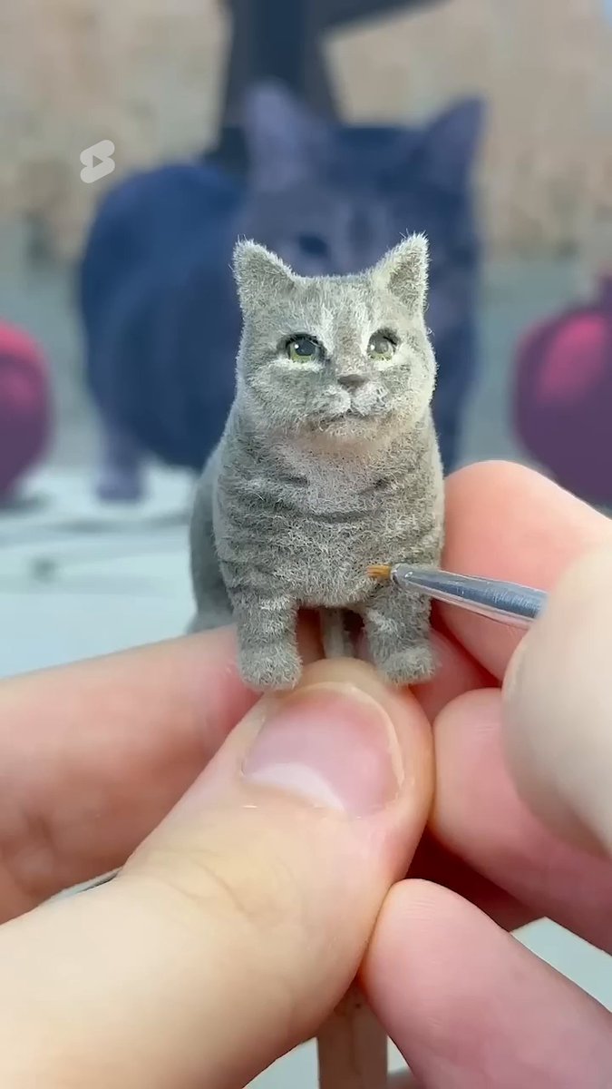 what do we name her?? 😻 →