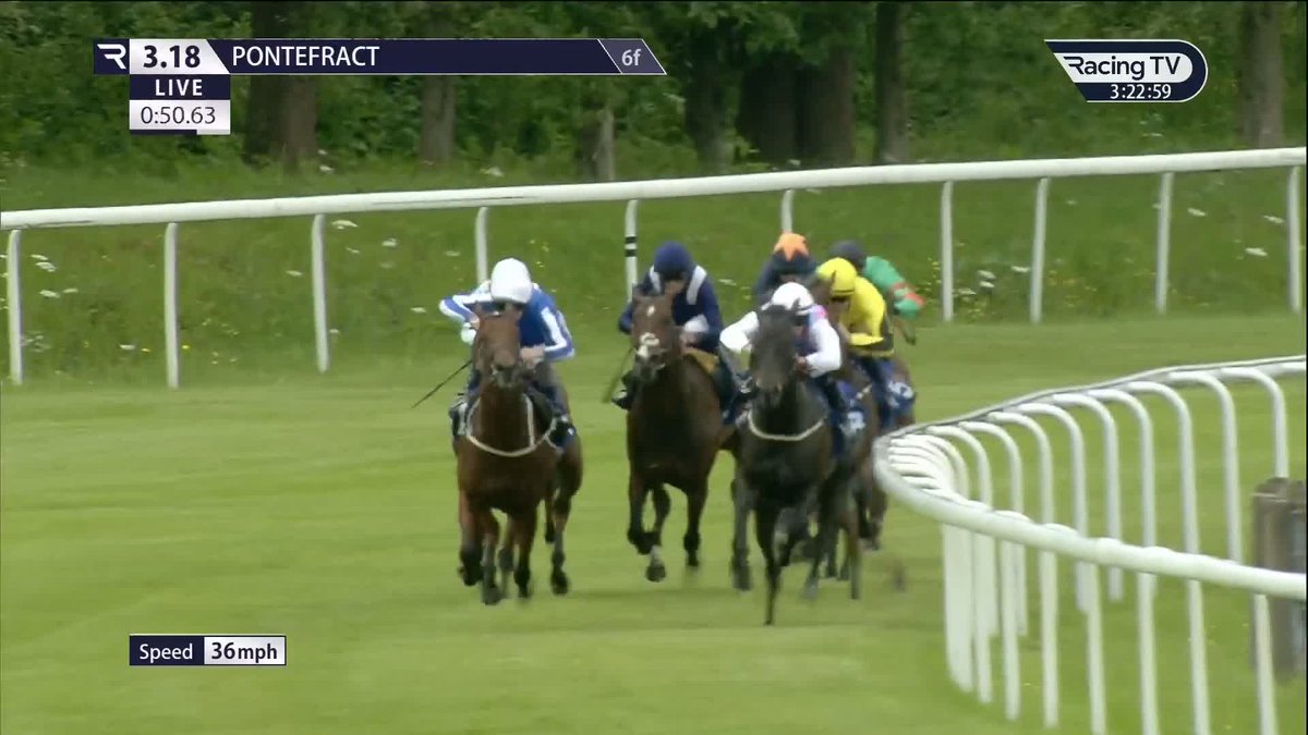 ✅ Winning debut for £105,000 buy Boleto (Wootton Bassett)