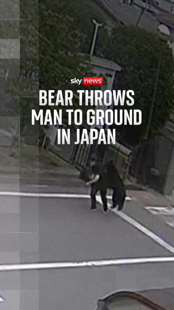A bear is seen pursuing a man outside a steelworks in Fukushima before catching him and throwing him to the ground. Japan's Environment Ministry said 13 people were killed in more than 230 attacks by bears in 2025.