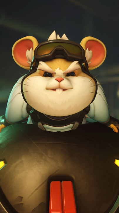 Always keep your eye on the ball, especially when its Hammond 🐹🏐