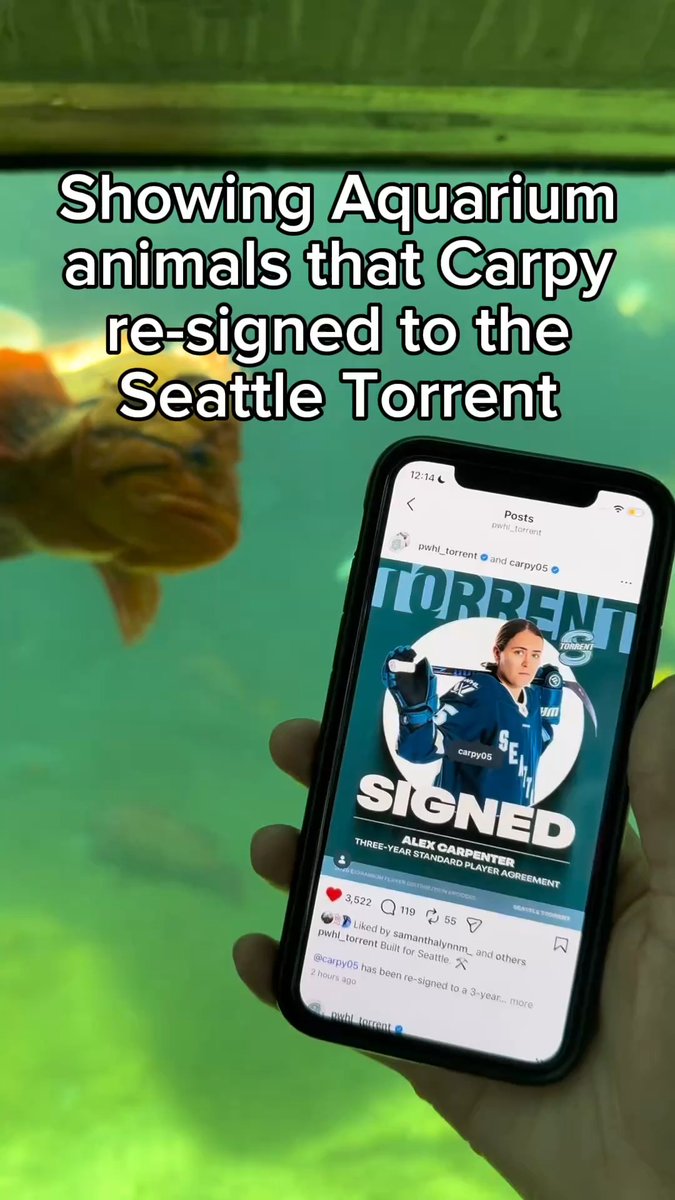 THE AQUARIUM MANAGER IS HERE TO STAY 🙌🌊 Seattle Torrent