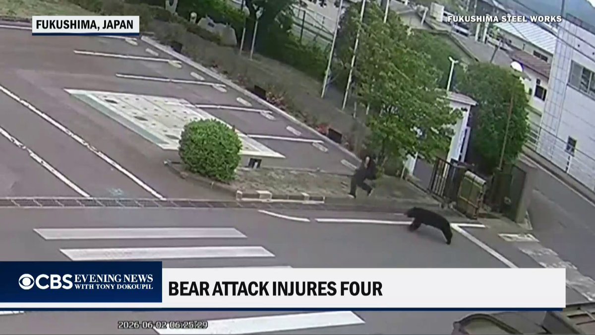 A bear attack left four people injured in two factories and a residential area in northern Japan's Fukushima. A record 13 people were killed by bears in Japan last year.