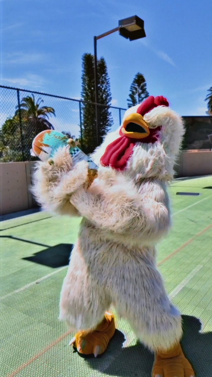 You know what else is extreme and COOL? Watching episodes 1-12 of Rooster Fighter! Go do it cluckers!! 🤙📺