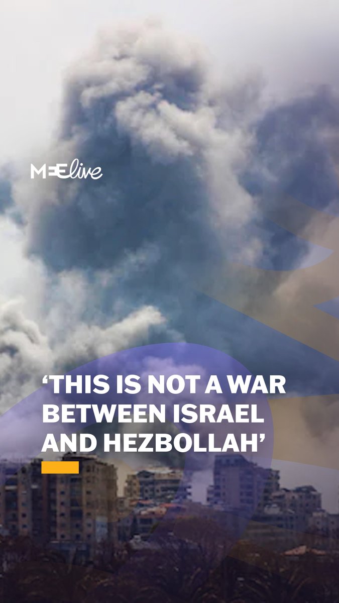 Lebanese-American academic and author Fawaz Gerges explains why he is against the mainstream media narrative that the current conflict in Lebanon is between the Israeli army and the resistance group Hezbollah