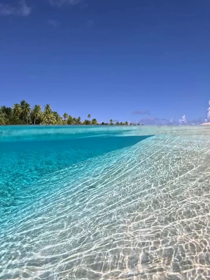Beauty of nature in the Maldives 🇲🇻