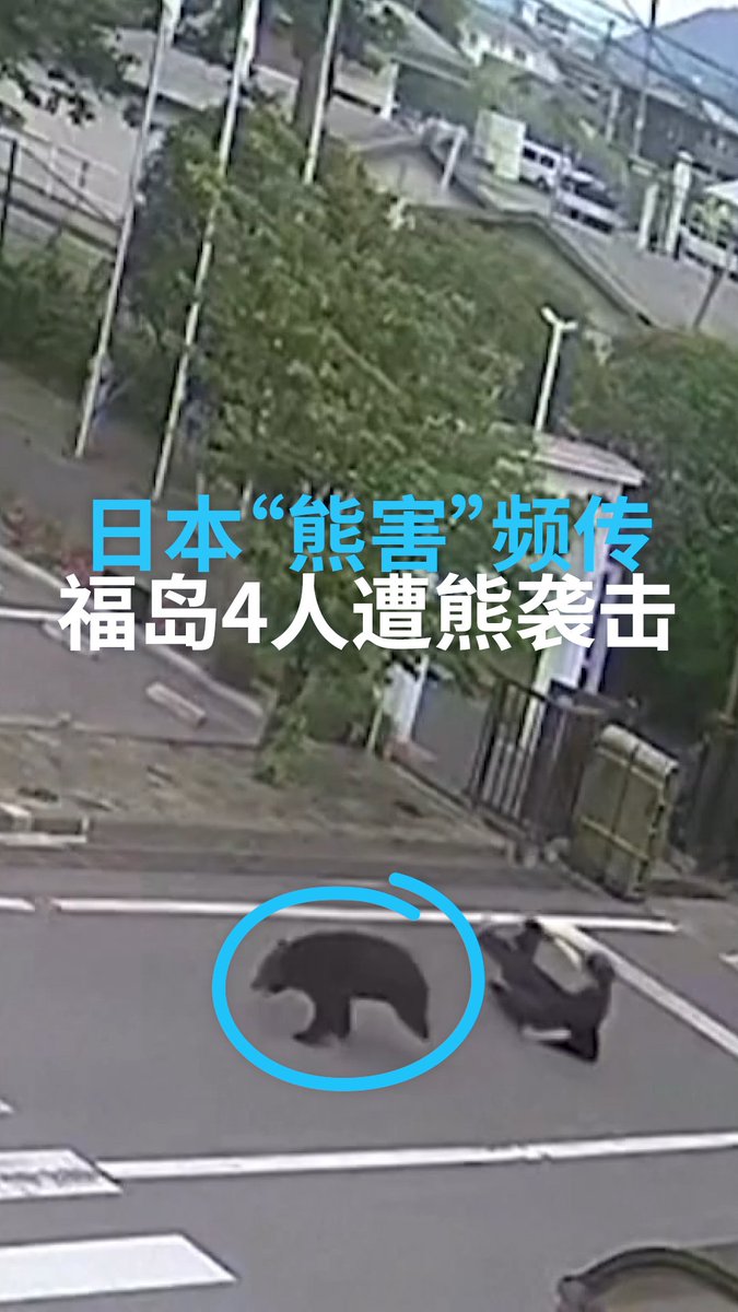 日本福岛市一家工厂的两名员工6月2日遭到熊攻击，熊随后逃入居民区，袭击了两名居民，共计四人受伤。当局已呼吁加强警戒。同日，秋田市也发生一名女性疑似遭熊袭致死的事件。 #dwnews