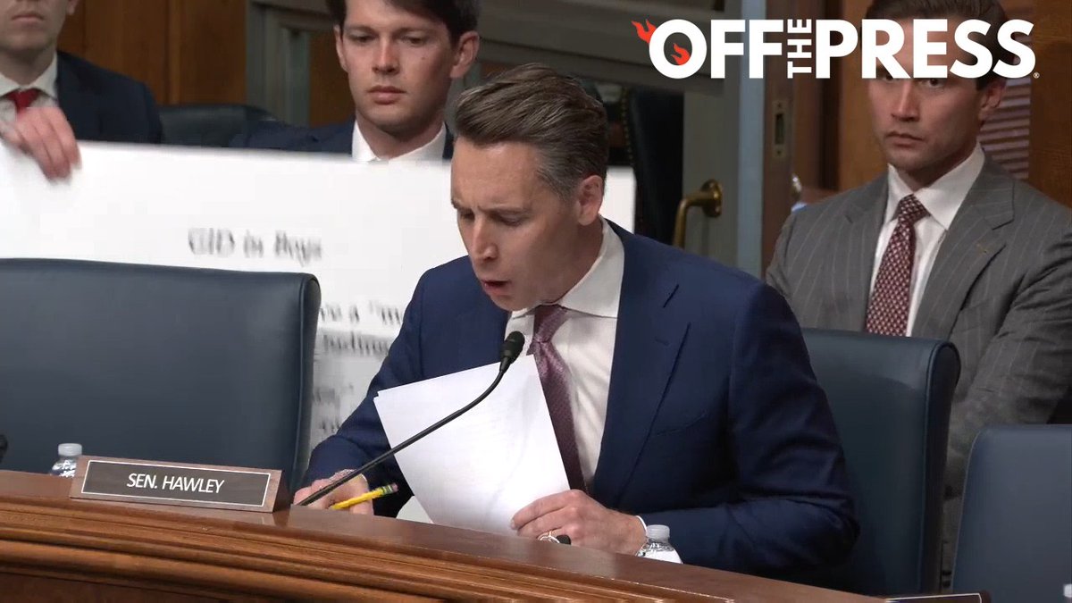 🚨WATCH: Josh Hawley SHREDS Shannon Minter of the National Center for LGBTQ Rights over claims that young girls who are uninterested in dolls may have gender dysphoria. "I don't care what labels you put on it ... It is absolutely outrageous."