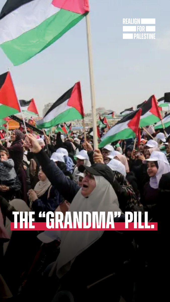 Ahmed Fouad Alkhatib says that it’s time Palestinians face the reality: that the “Right of Return” is simply not a viable political outcome. Radical pragmatism is the difficult, honest work of moving forward, prioritizing tangible political progress over ideological purity and maximalist fantasies that do not serve the Palestinian cause.