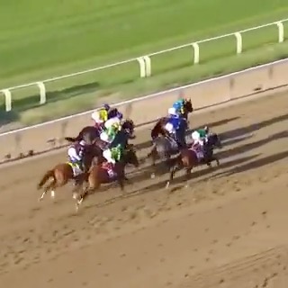 ⌛ 11 years ago this week, American Pharoah ended a 37-year Triple Crown drought.