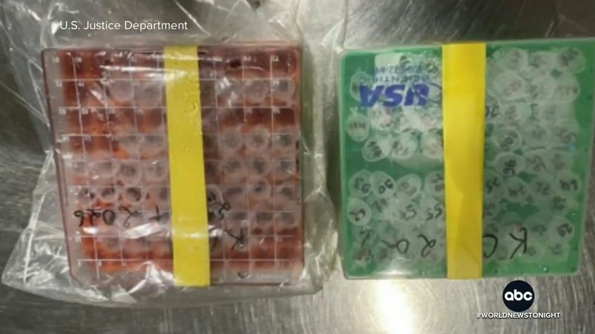 Two scientists have been charged federally in Detroit after prosecutors say they smuggled vials containing deactivated mpox virus into the United States from Africa.