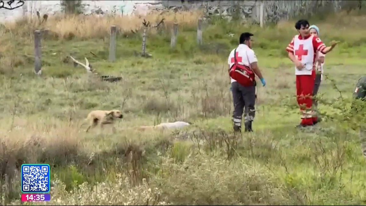 A la altura de Explanada, una mujer detuvo su auto y corrió semidesnuda a un predio, movilizando a unidades de emergencias. Iba manejando de forma peligrosa con su perro de apoyo emocional; en el vehículo se hallaron botellas de alcohol. 🚨🚘