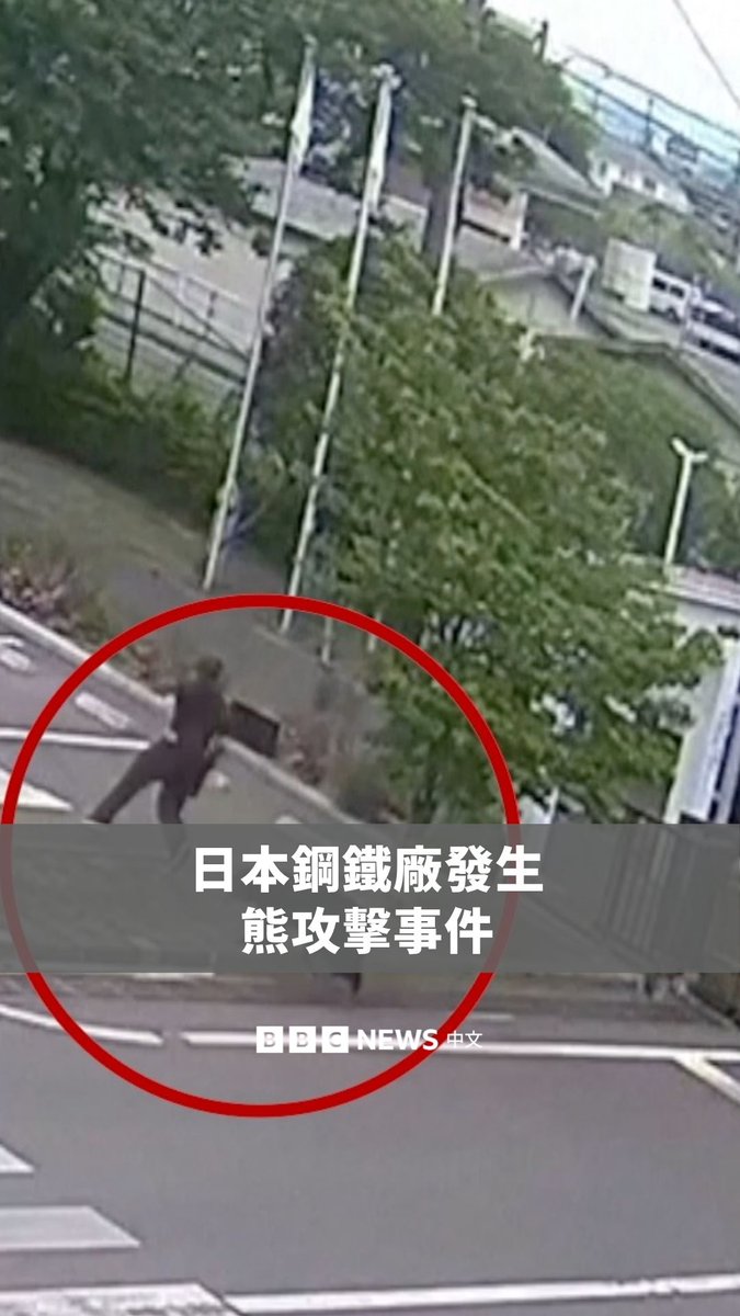 一段画面显示，一名男子在日本福岛钢铁厂遭熊攻击。当局后续接获通报，指称有多名员工皆在附近笹木野的住宅区遭熊袭击。 日本境内主要有两种熊类：亚洲黑熊以及体型较大的棕熊。2025年，日本因熊攻击致死的人数创下历史新高。