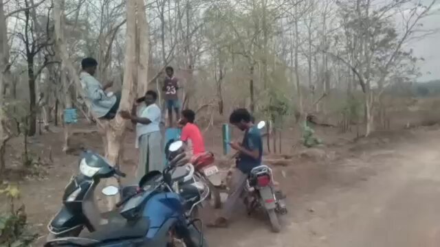 Can you see the men climbing trees and being perched on them with a mobile phone in their hand? These men aren’t climbing trees for fun, this has been their daily ritual for the past few months. This video is from Penchikalpet Mandal, Asifabad District, Telangana The people in this video climbing trees are local farmers. Telangana Congress government decided to go all fancy with fertilizer supply and launched an app to book the same. Most farmers don’t have smart phones, and those who do also don’t know how to use an app. People in many villages are taking help of youngsters and are also buying cheaper smart phones just to book urea!! More than 90 percent of farmers in the country cannot afford smart phones and are not well versed with the technology - a very important detail the smartest policy makers in the government decided to ignore. These farmers perched on the trees - their problem is a lot more complicated. They have no network connectivity because they live in tribal areas. Every morning it is now a ritual to find the last point of connectivity and climb the highest tree for any signal. Also, this is not one village problem. Many villages in Adilabad, Kumuram Bheem Asifabad, Mulugu, Bhadradri Kothagudem, and Nagarkurnool have severe signal connectivity issues. It is important to note that according to the report of Department of Telecommunications (DoT) there are at least 303 villages in Telangana which have mobile phone towers! Meaning zero mobile network access. And they all now cannot get urea or have to depend on the mercy of the local officers even to book a bag of urea. These are the farmers that need maximum support from the government. But this government has denied them the basics right to life and dignity to produce their own food, all because of their half-brained policies. PS: Do you know why the Congress government started this whole Urea Booking App suddenly? Due to the severe shortage of urea and subsequent long queues resulting in public anger & social media attention - they decided to bring in app booking so that it will make their lives easier; not the farmers’ but the government’s..!!!