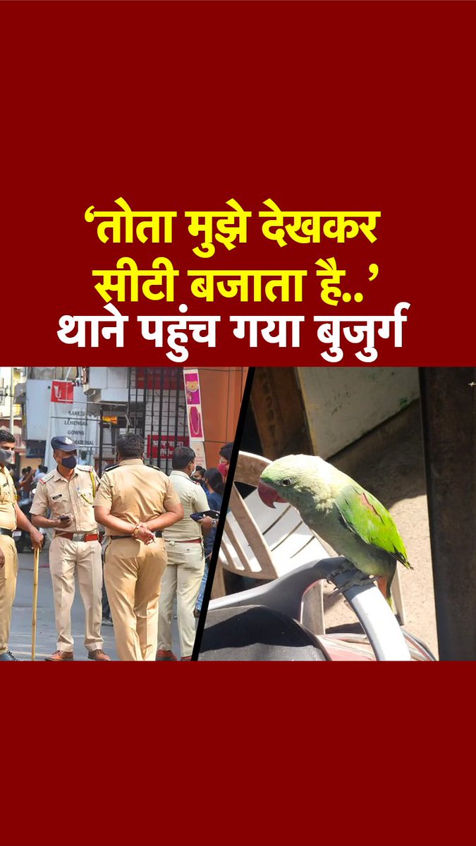 वैसे तोते होते तो है लोफर 😭