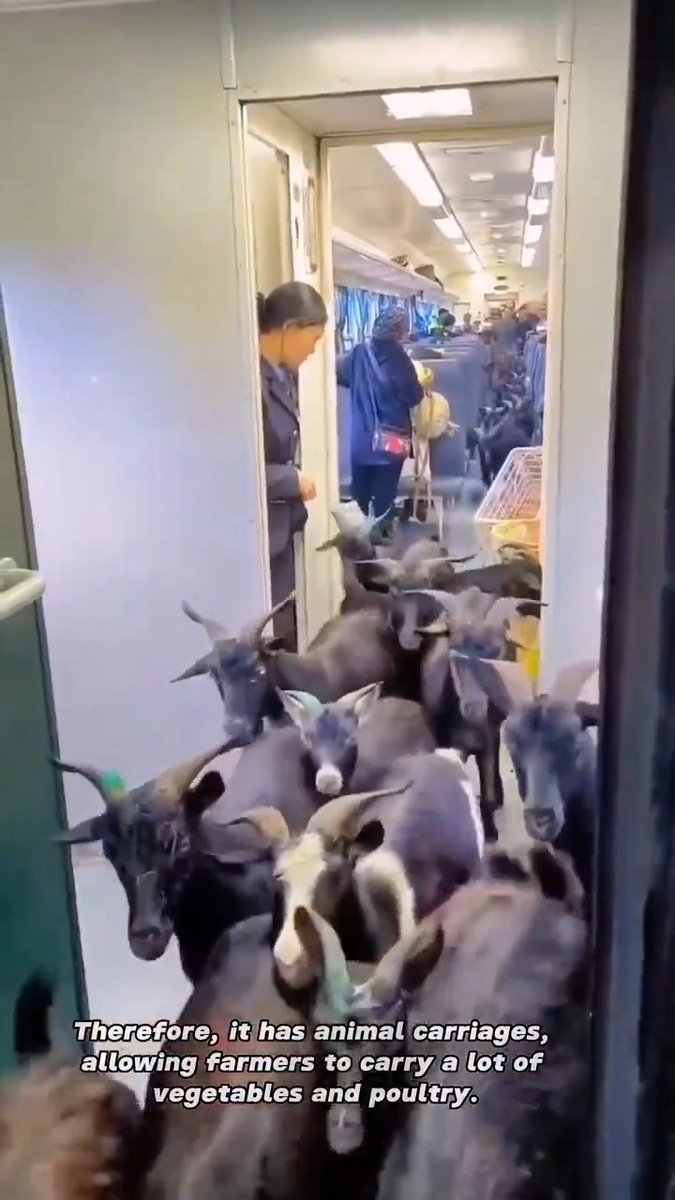 Why don’t they ever show us these kinds of Chinese trains? 🤔 They heavily promote these videos on Chinese social media, hidden behind the firewall. But they never show them to the international public. Are they ashamed? 🤔