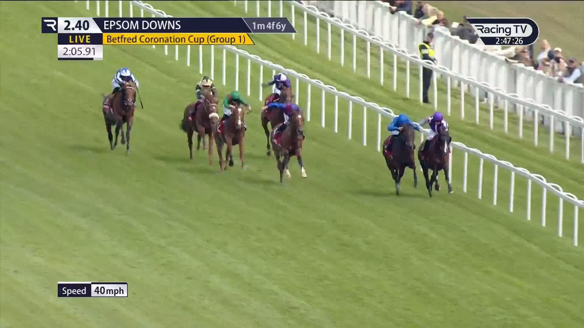 ✅️ CALANDAGAN had been declared in the G1 Coronation Cup... • Calandagan 13-8 • Jan Brueghel 13-8 • Lambourn 6-1 • Convergent 6-1 • Bay City Roller 16-1 • Illinois 50-1 🚨 Three Ballydoyle runners blasting the pace to beat him over 1m4f at Epsom.